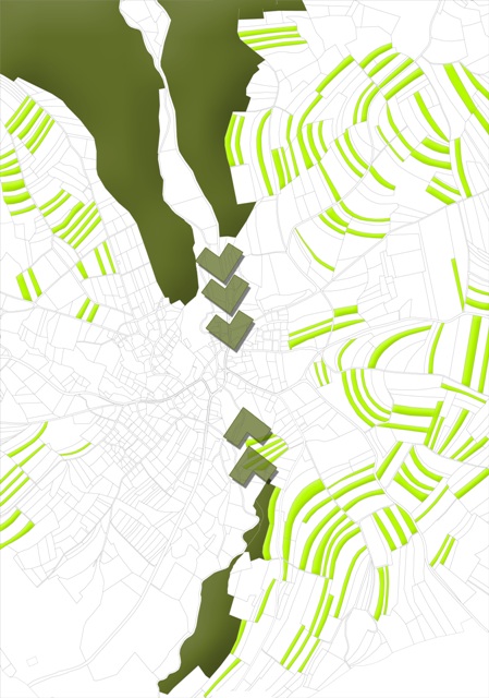 100815 Uehlingen 2016 Flurstuecke Wald