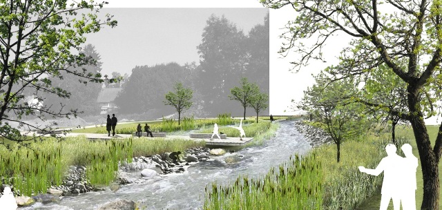 100830 Wasser Natur Uehlingen