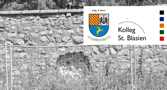 Kolleg St.Blasien<br>Klostermauersanierung