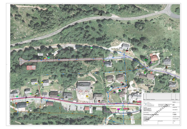 St.Blasien-Menzenschwand<br> BG Bachwiesen